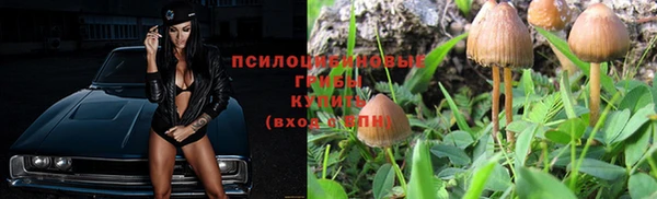 синтетический гашиш Алексин