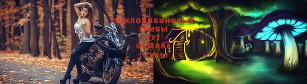 apvp Алзамай