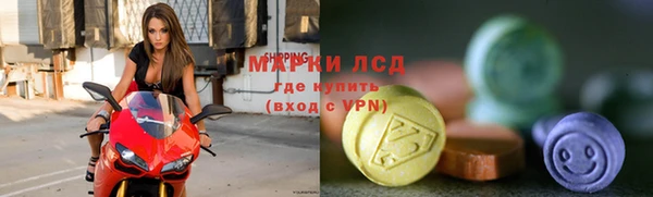 apvp Алзамай