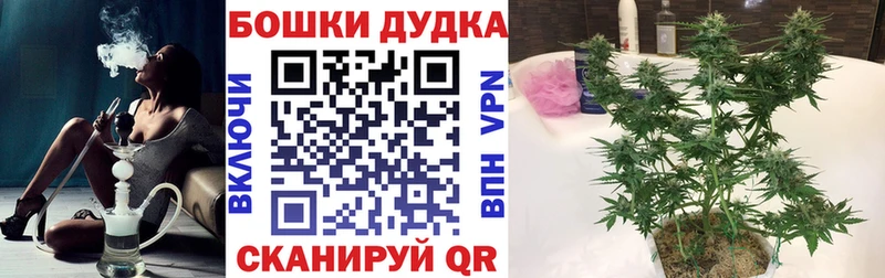 Конопля сатива  Островной 